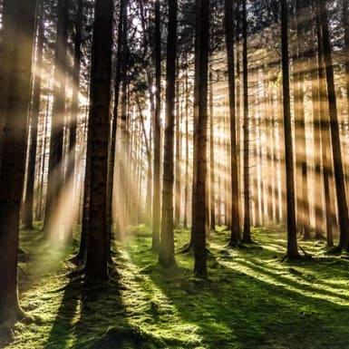 Exclusive research from BulwarkBay and the University of Oxford on green competitiveness in the global economy
